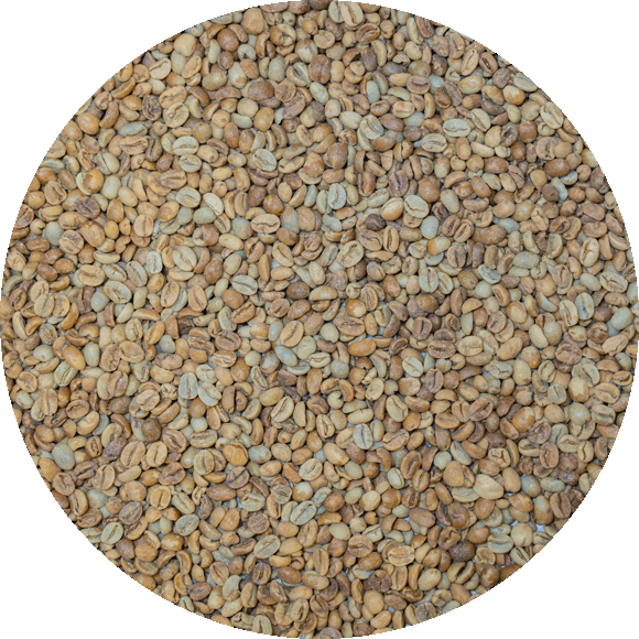 Black Sheep double anaerobic green coffee, 1 lb