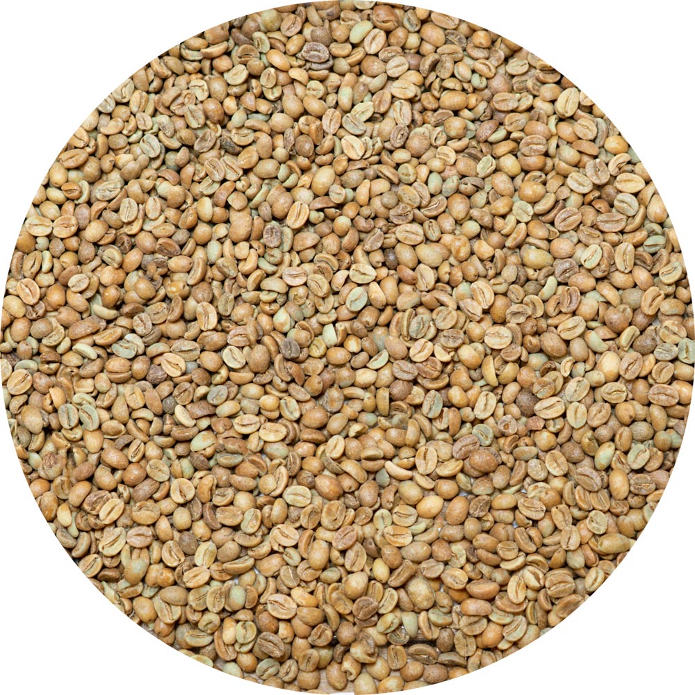 Blissful Summer high-ferment natural green coffee, 1 lb