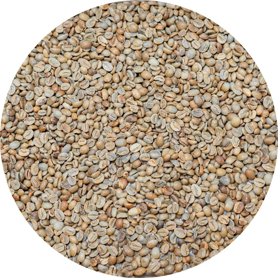 Nine Dragon Honey green coffee, 1 lb